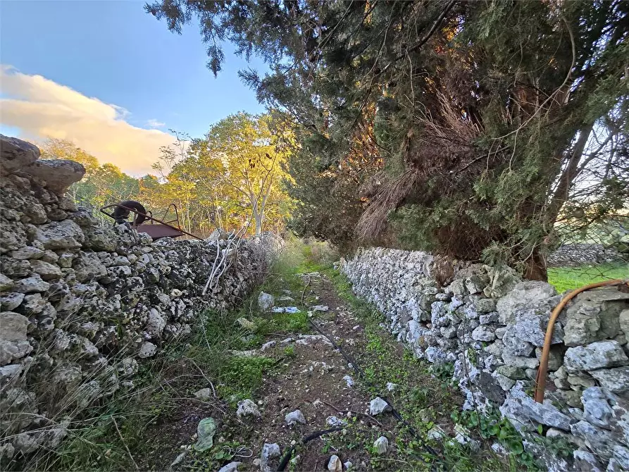 Immagine 16 di Rustico / casale in vendita  in Contrada Porcari a Noto
