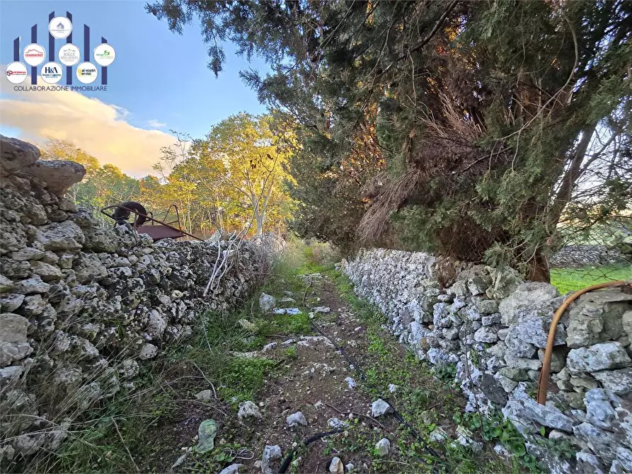 Immagine 16 di Rustico / casale in vendita  in Contrada Porcari a Noto