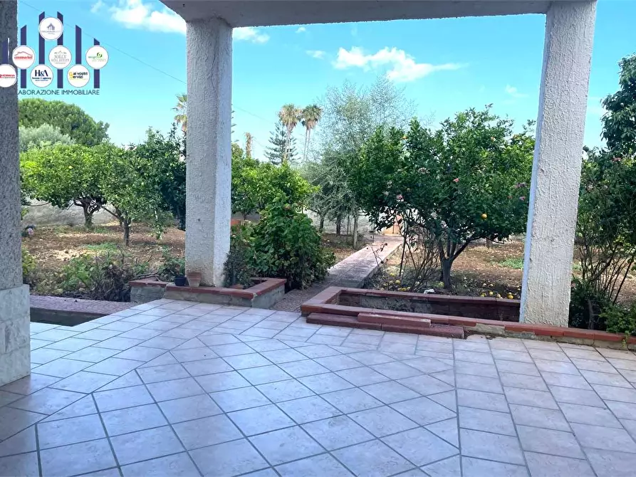 Immagine 3 di Trilocale in vendita  in ARENELLA a Siracusa