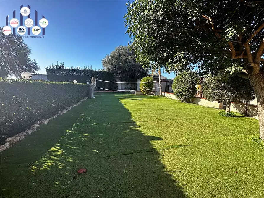 Immagine 8 di Villa in affitto  in Via Del Pellicano a Siracusa