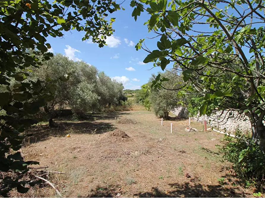 Immagine 13 di Villa in vendita  in C/DA SAN MARCO a Noto