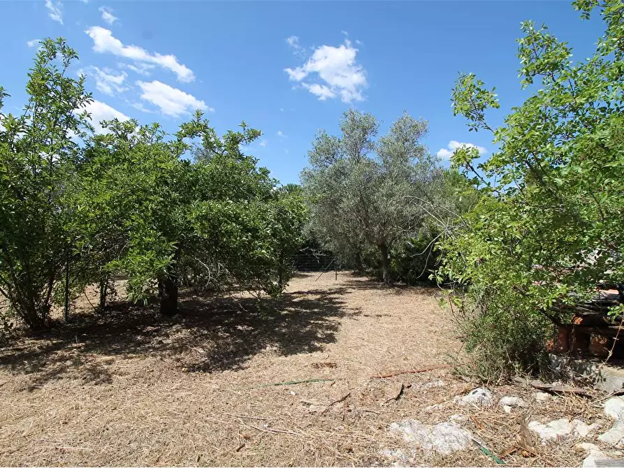 Immagine 17 di Villa in vendita  in C/DA SAN MARCO a Noto