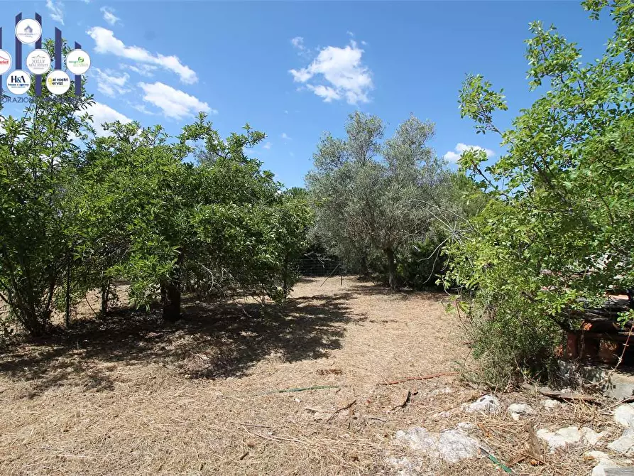 Immagine 17 di Villa in vendita  in C/DA SAN MARCO a Noto