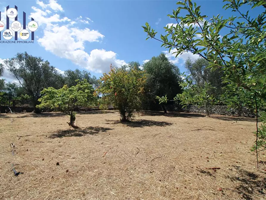 Immagine 18 di Villa in vendita  in C/DA SAN MARCO a Noto