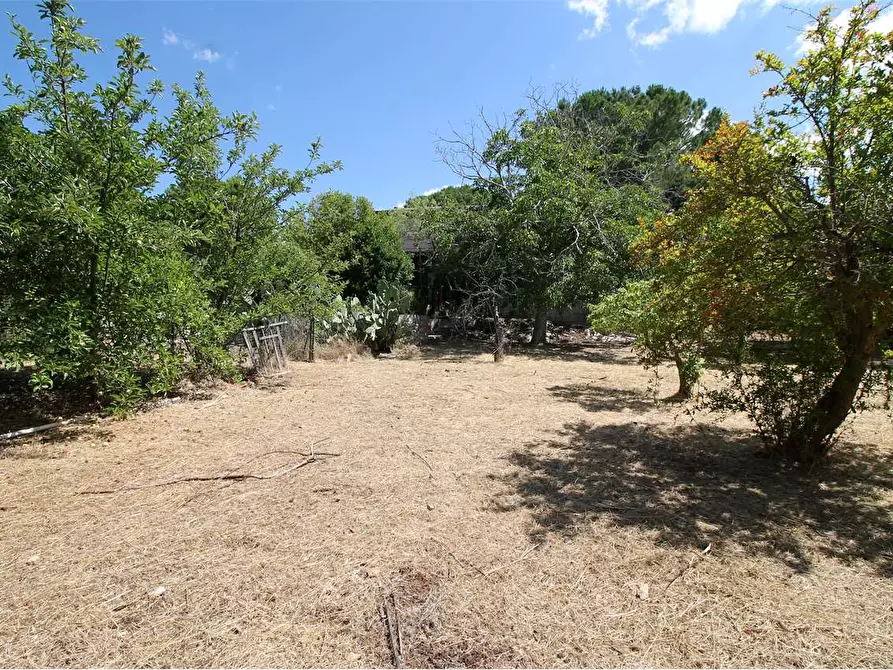 Immagine 19 di Villa in vendita  in C/DA SAN MARCO a Noto