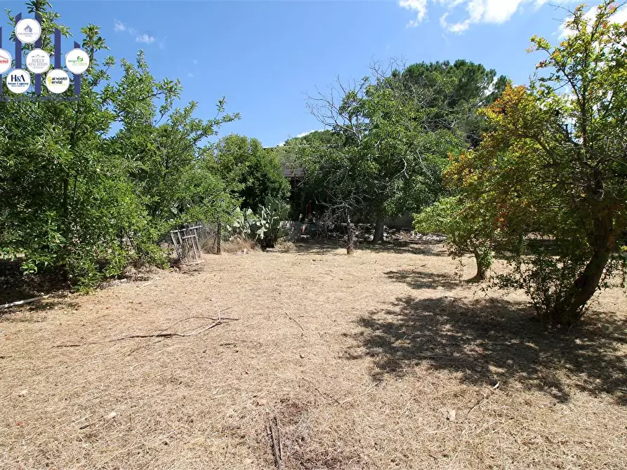 Immagine 19 di Villa in vendita  in C/DA SAN MARCO a Noto