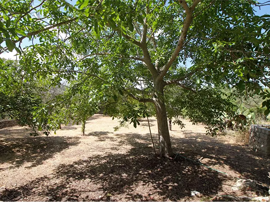 Immagine 20 di Villa in vendita  in C/DA SAN MARCO a Noto