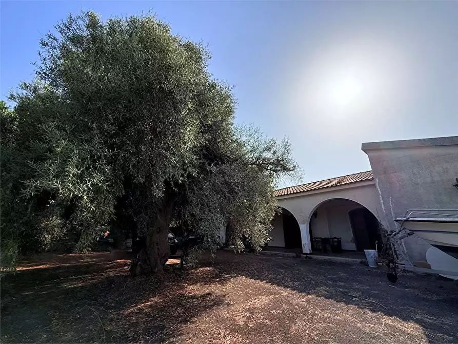 Immagine 4 di Villa in vendita  in Via Isola a Siracusa