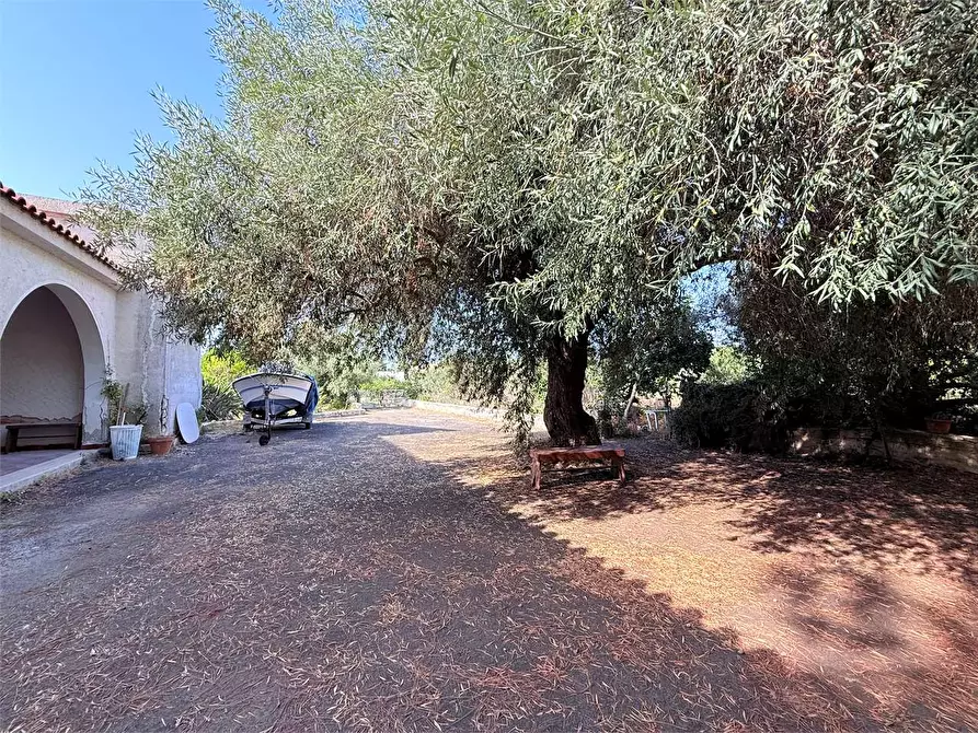 Immagine 21 di Villa in vendita  in Via Isola a Siracusa