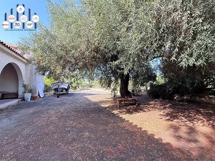 Immagine 21 di Villa in vendita  in Via Isola a Siracusa