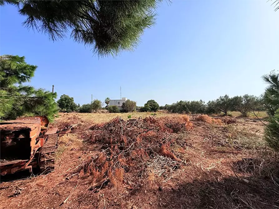 Immagine 22 di Villa in vendita  in Via Isola a Siracusa