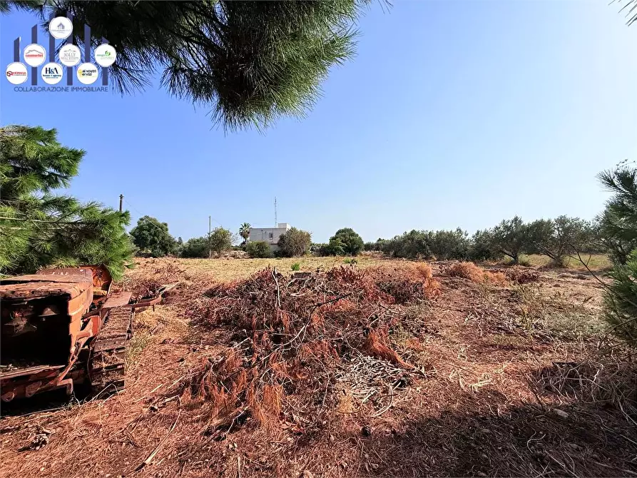 Immagine 22 di Villa in vendita  in Via Isola a Siracusa