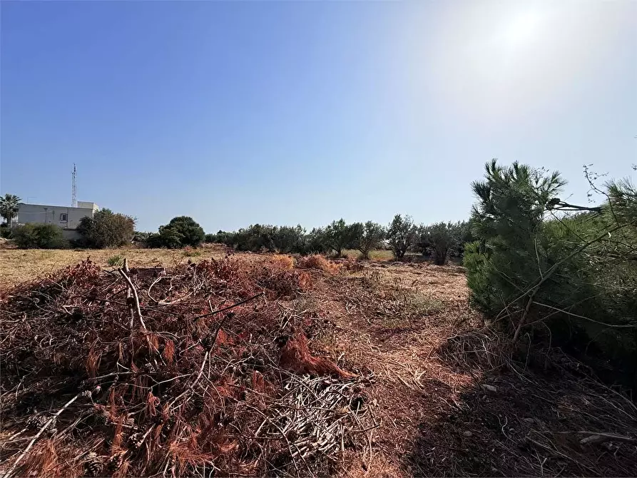 Immagine 23 di Villa in vendita  in Via Isola a Siracusa