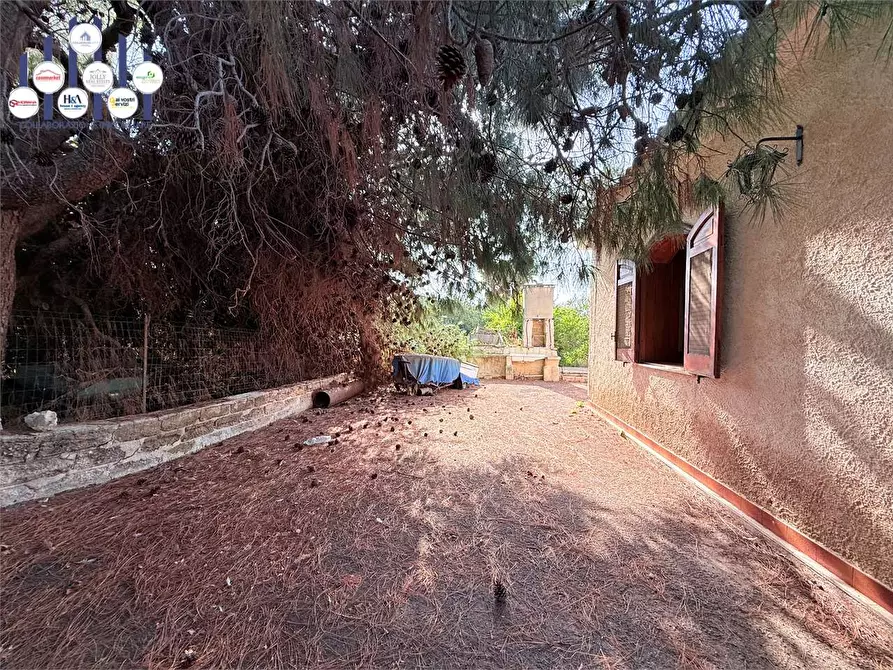 Immagine 24 di Villa in vendita  in Via Isola a Siracusa