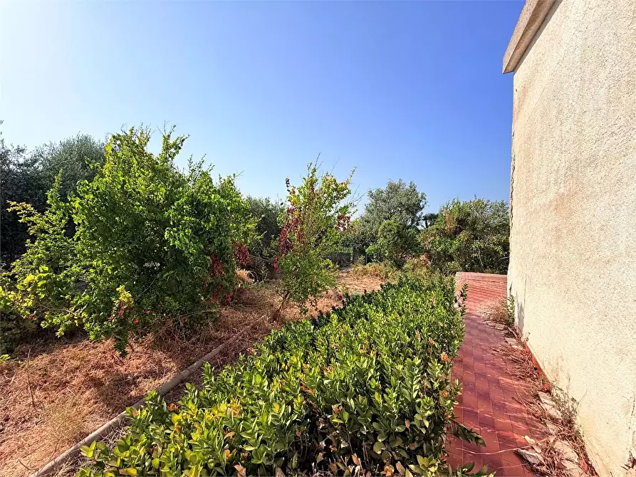 Immagine 27 di Villa in vendita  in Via Isola a Siracusa