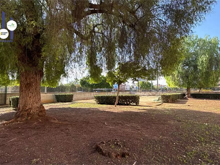 Immagine 24 di Appartamento in vendita  in Piazza Armerina a Siracusa