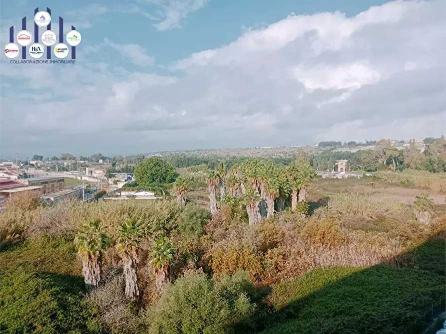 Immagine 23 di Appartamento in vendita  a Siracusa