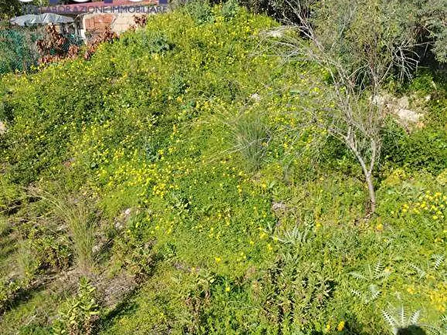 Immagine 4 di Terreno edificabile in vendita  a Siracusa
