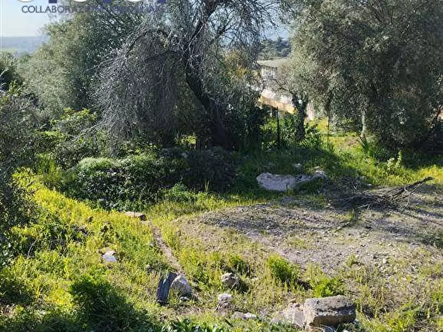 Immagine 6 di Terreno edificabile in vendita  a Siracusa