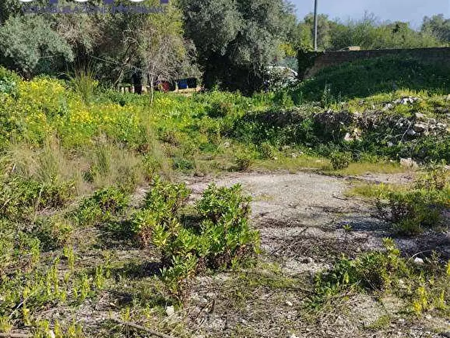 Immagine 7 di Terreno edificabile in vendita  a Siracusa