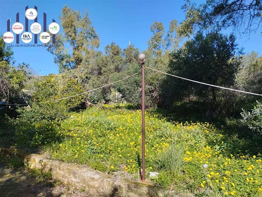 Immagine 9 di Terreno edificabile in vendita  a Siracusa