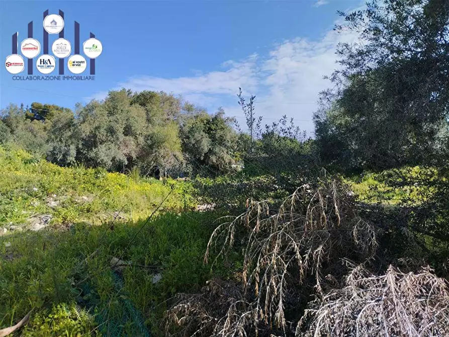Immagine 13 di Terreno edificabile in vendita  a Siracusa