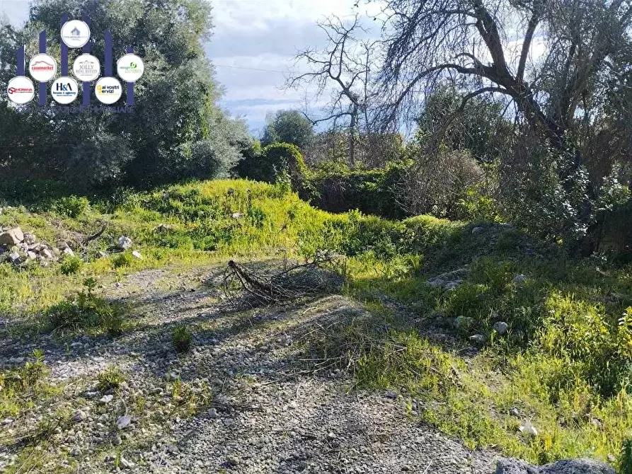 Immagine 14 di Terreno edificabile in vendita  a Siracusa