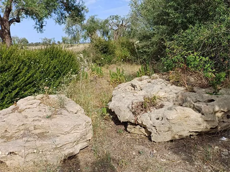Immagine 1 di Terreno edificabile in vendita  a Siracusa
