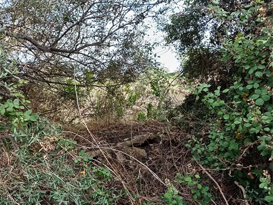 Immagine 5 di Terreno edificabile in vendita  a Siracusa