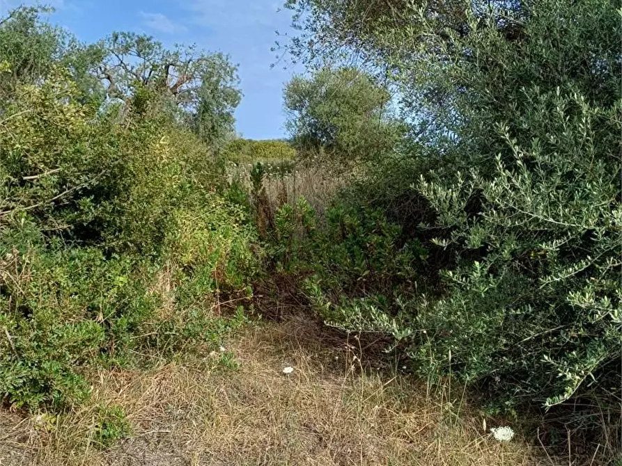 Immagine 6 di Terreno edificabile in vendita  a Siracusa