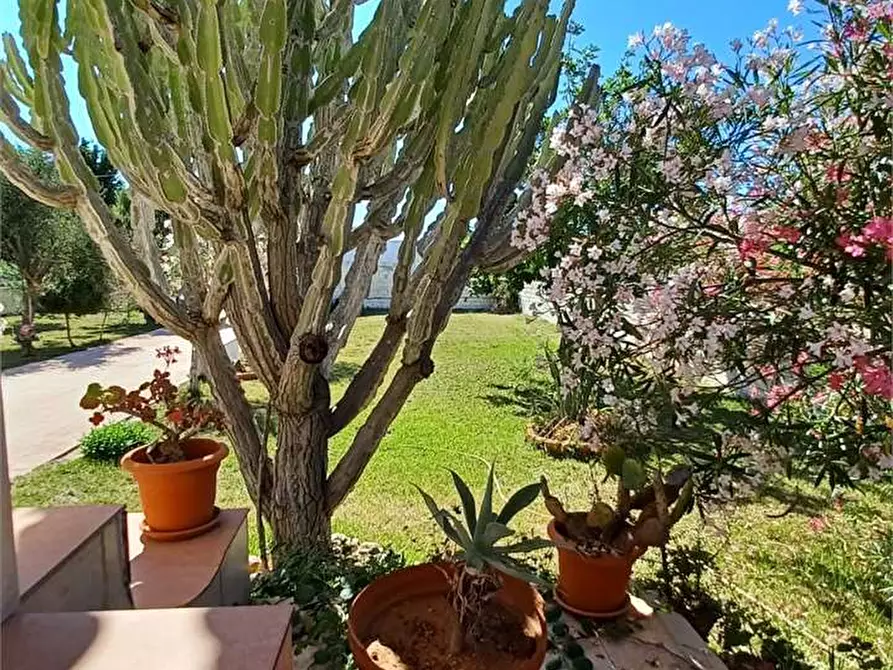 Immagine 2 di Villa in vendita  a Siracusa