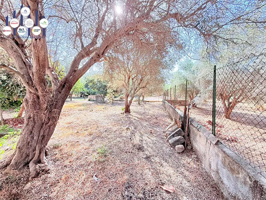 Immagine 22 di Villa in vendita  in Strada Ognina  a Siracusa