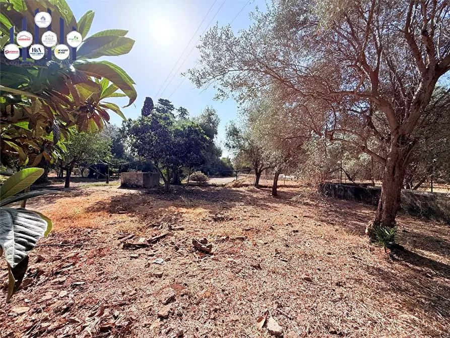 Immagine 23 di Villa in vendita  in Strada Ognina  a Siracusa