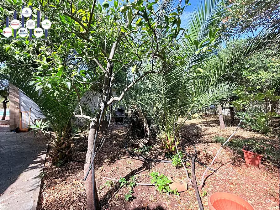 Immagine 24 di Villetta a schiera in vendita  in STRADA OGNINA a Siracusa