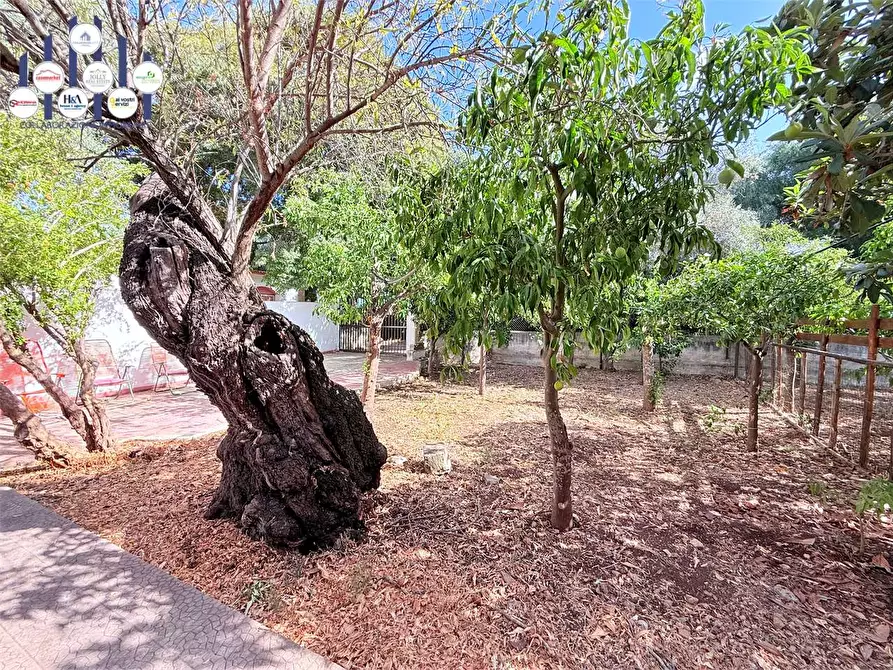 Immagine 21 di Villa in vendita  in STRADA OGNINA a Siracusa