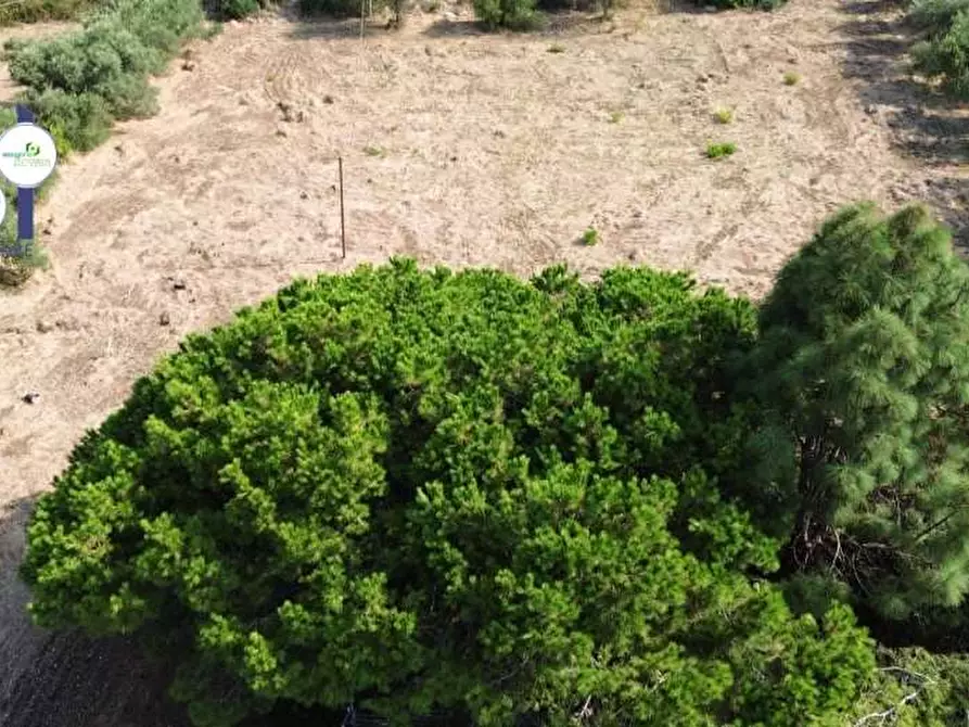 Immagine 3 di Terreno edificabile in vendita  in Via isola a Siracusa
