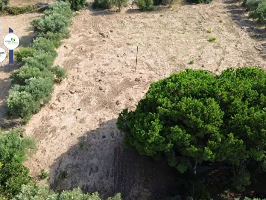 Immagine 5 di Terreno edificabile in vendita  in Via isola a Siracusa