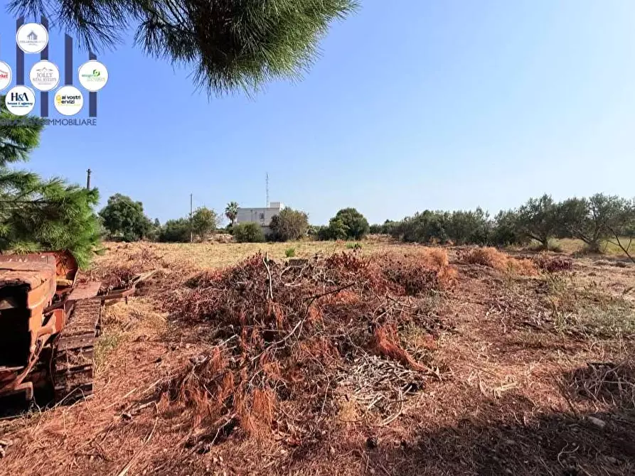 Immagine 6 di Terreno edificabile in vendita  in Via isola a Siracusa