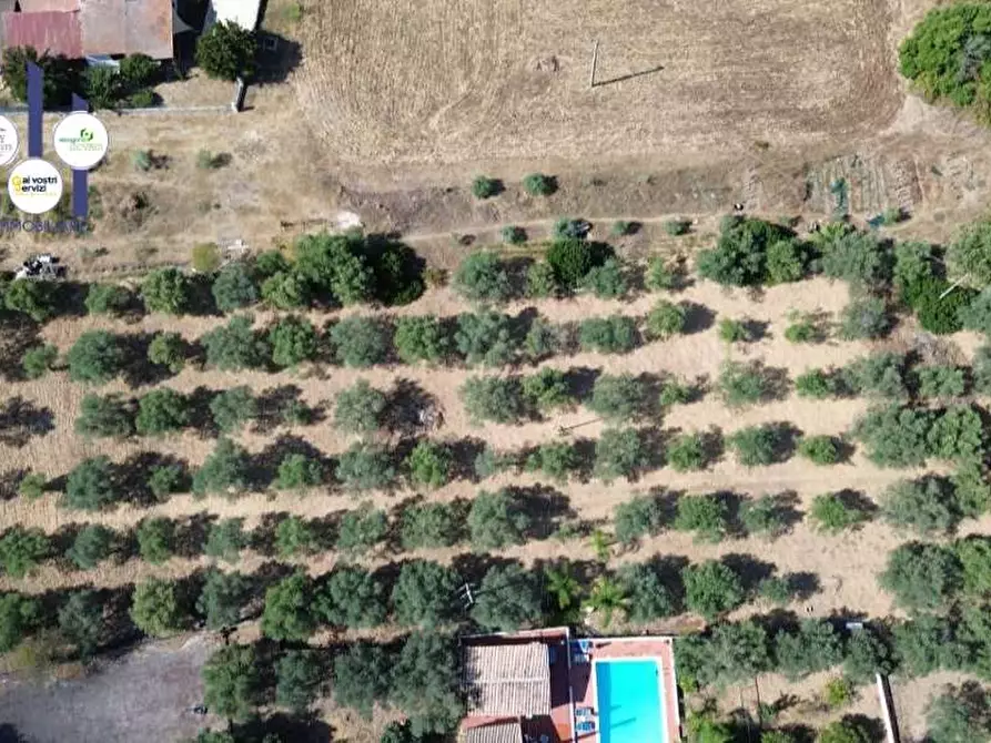 Immagine 1 di Terreno agricolo in vendita  in Strada ognina a Siracusa