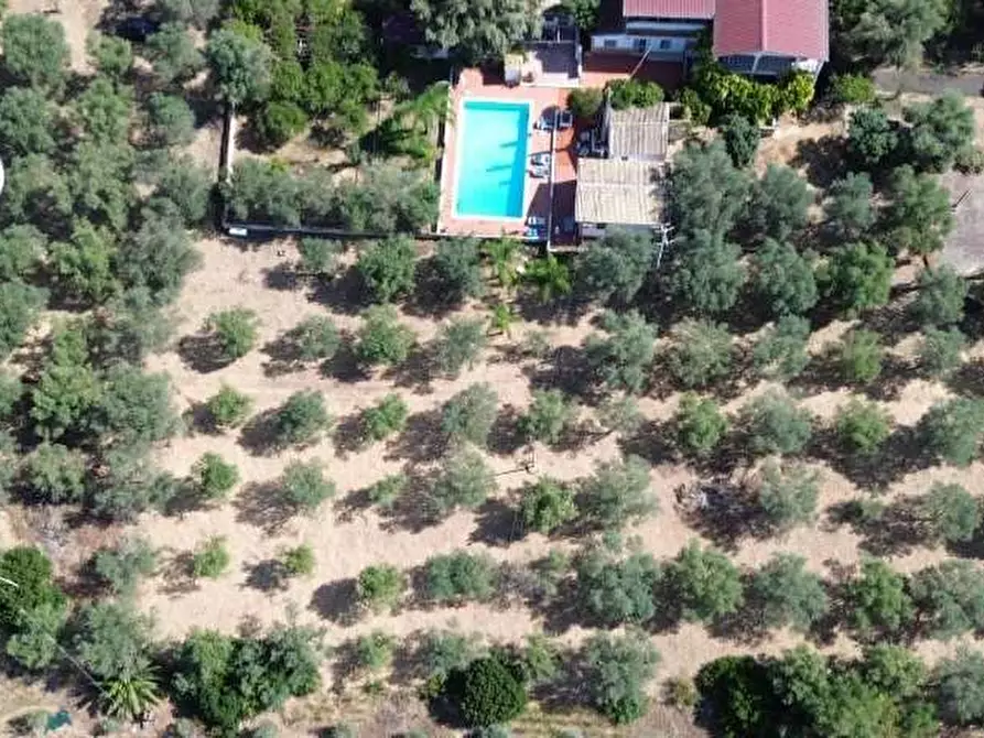 Immagine 3 di Terreno agricolo in vendita  in Strada ognina a Siracusa