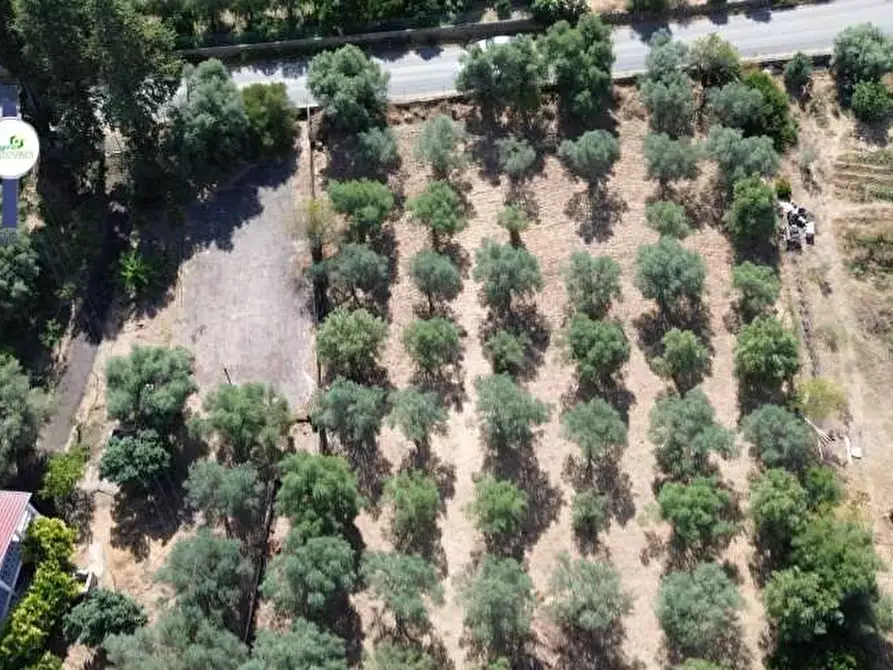 Immagine 4 di Terreno agricolo in vendita  in Strada ognina a Siracusa