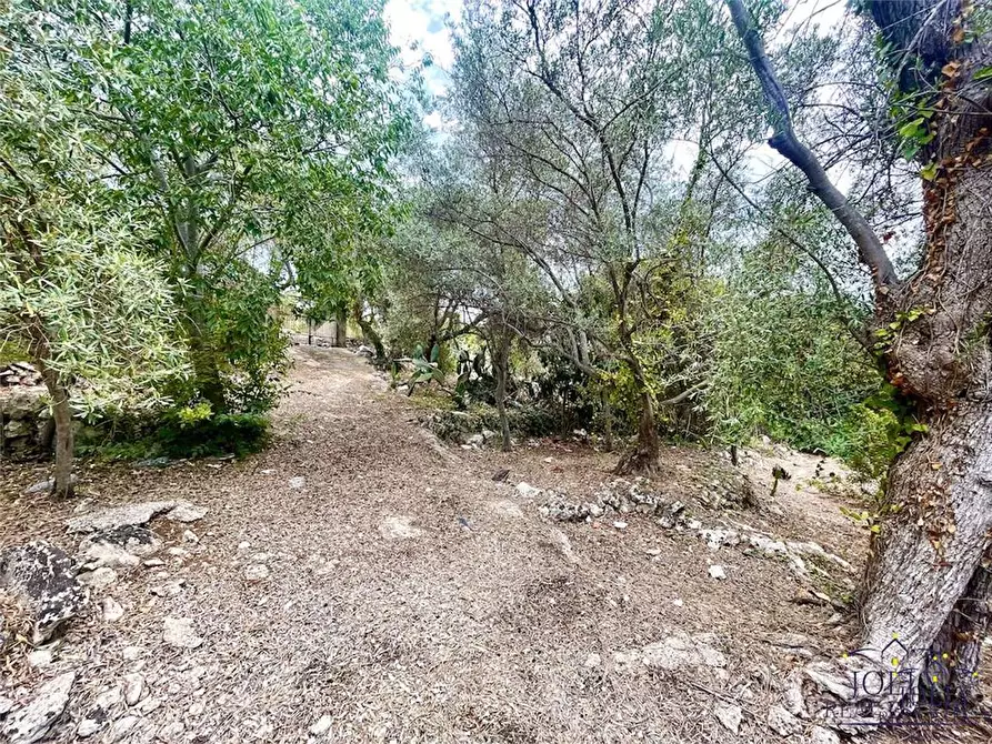 Immagine 5 di Rustico / casale in vendita  in Epipoli a Siracusa