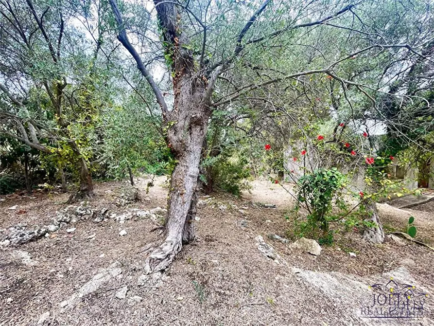 Immagine 6 di Rustico / casale in vendita  in Epipoli a Siracusa