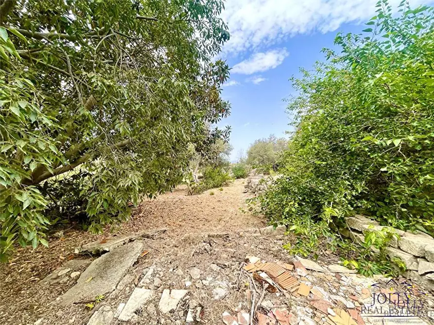 Immagine 15 di Rustico / casale in vendita  in Epipoli a Siracusa