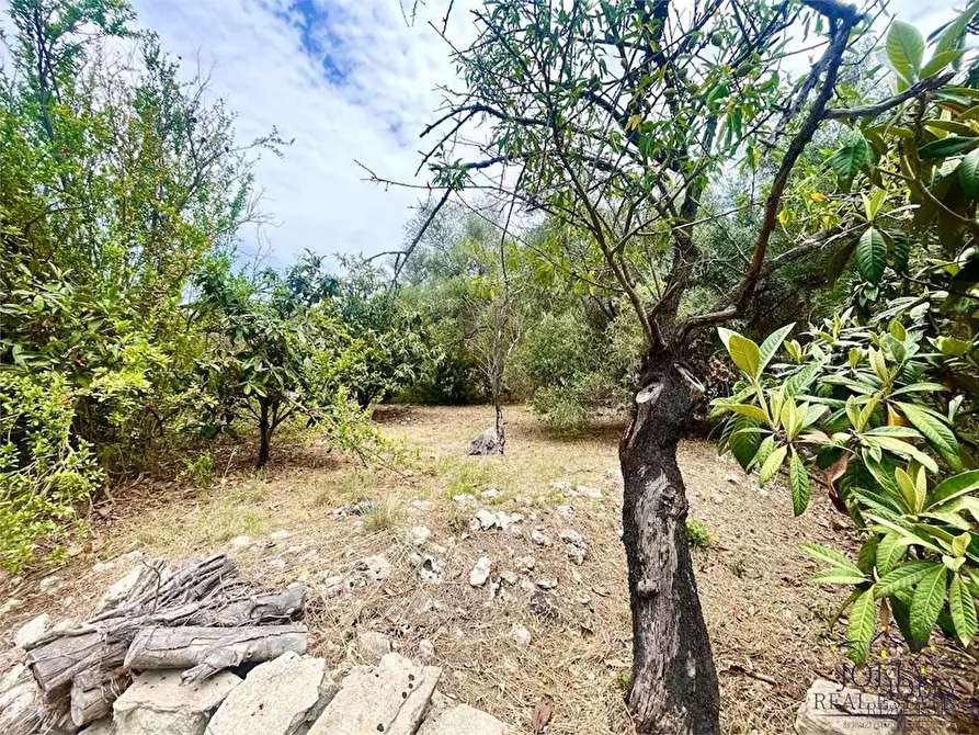 Immagine 17 di Rustico / casale in vendita  in Epipoli a Siracusa