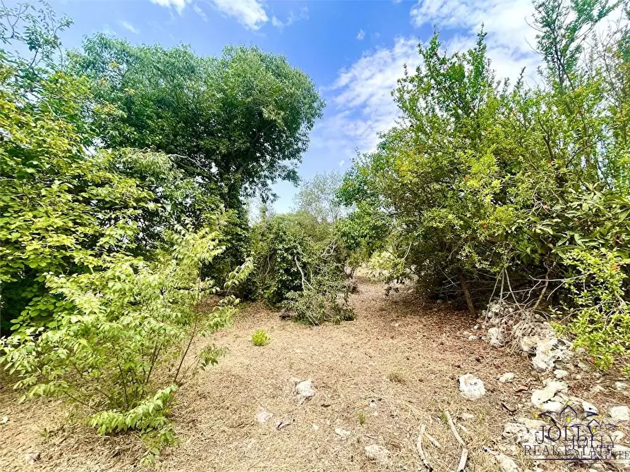 Immagine 18 di Rustico / casale in vendita  in Epipoli a Siracusa