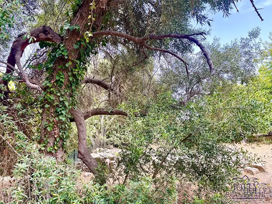 Immagine 20 di Rustico / casale in vendita  in Epipoli a Siracusa