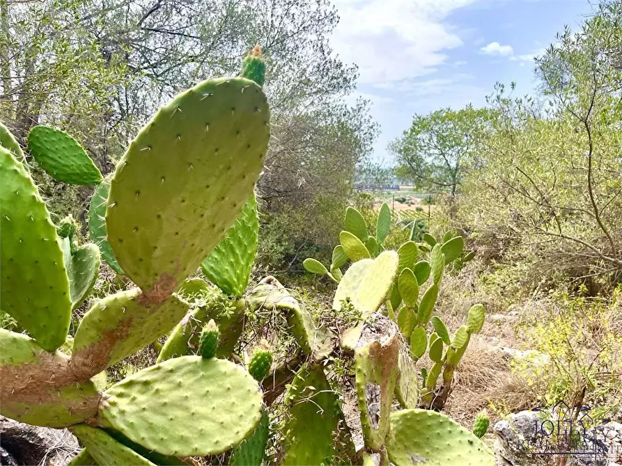 Immagine 21 di Rustico / casale in vendita  in Epipoli a Siracusa