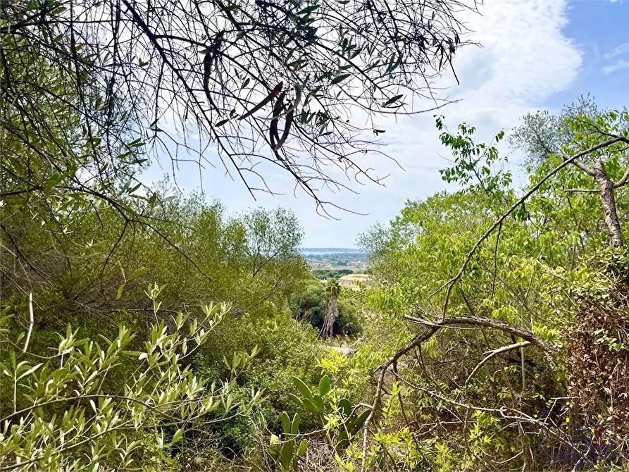 Immagine 22 di Rustico / casale in vendita  in Epipoli a Siracusa