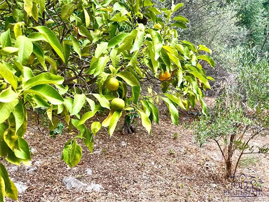 Immagine 23 di Rustico / casale in vendita  in Epipoli a Siracusa